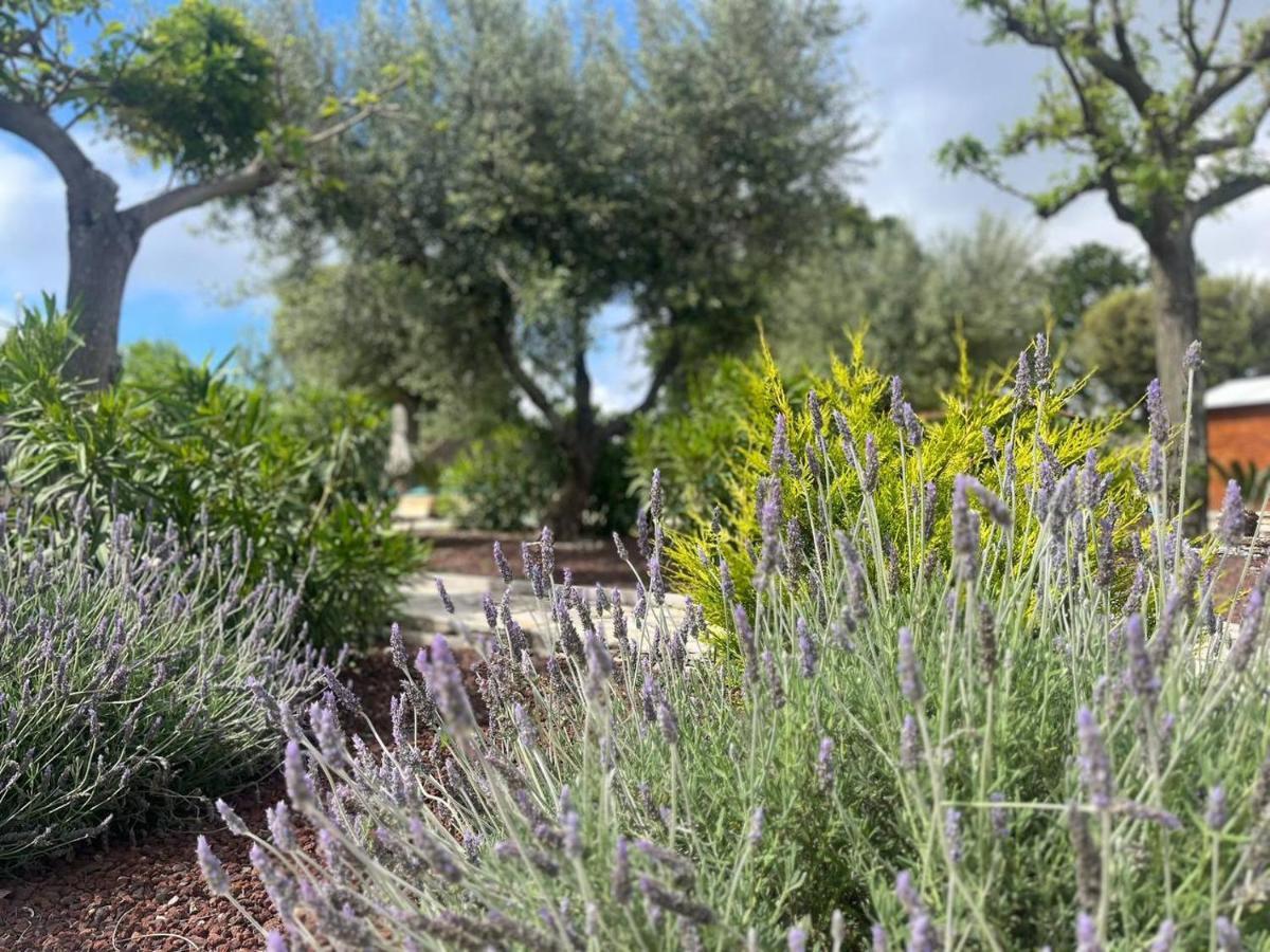 Apartmán Maison Dei Trulli Locorotondo Exteriér fotografie