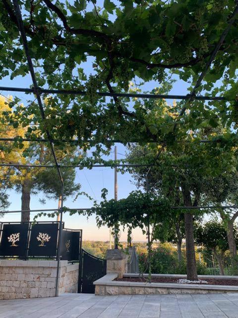 Apartmán Maison Dei Trulli Locorotondo Exteriér fotografie