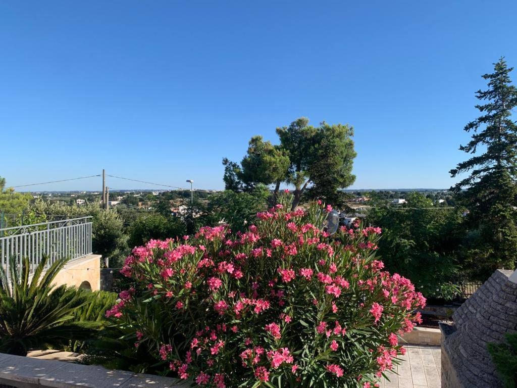 Apartmán Maison Dei Trulli Locorotondo Exteriér fotografie