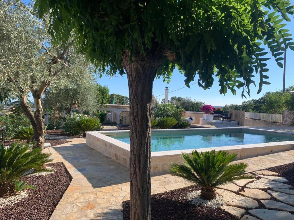 Apartmán Maison Dei Trulli Locorotondo Exteriér fotografie