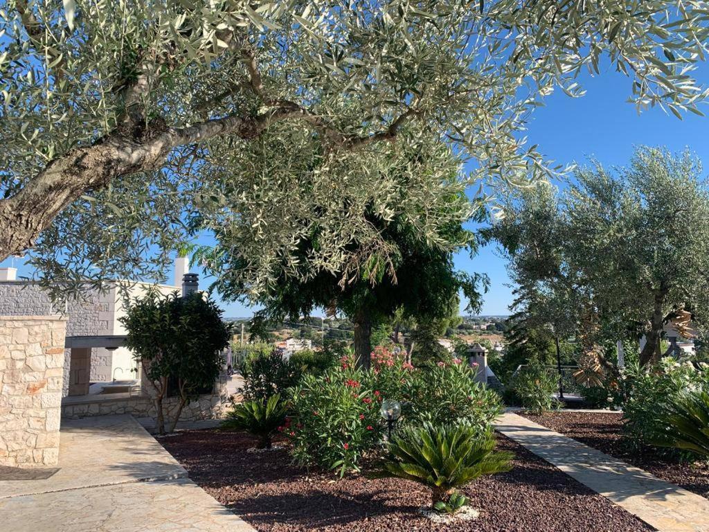 Apartmán Maison Dei Trulli Locorotondo Exteriér fotografie
